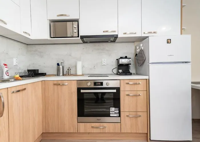 Apartment Galia In Center