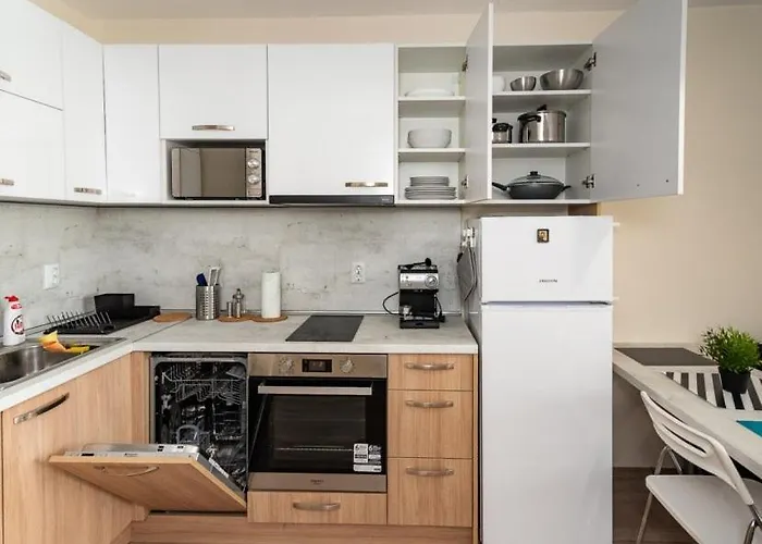 Apartment Galia In Center