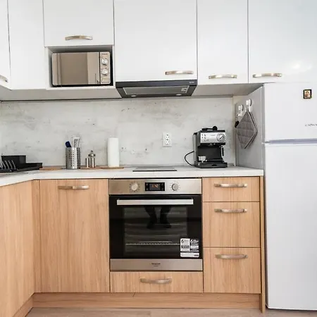 Apartament Galia In Center